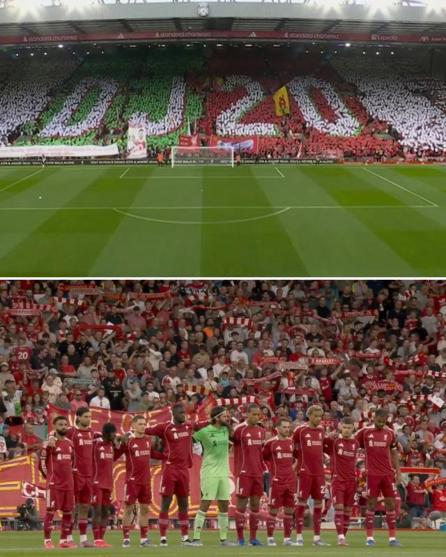 情绪可能让, 两队都打出, 怕的原因