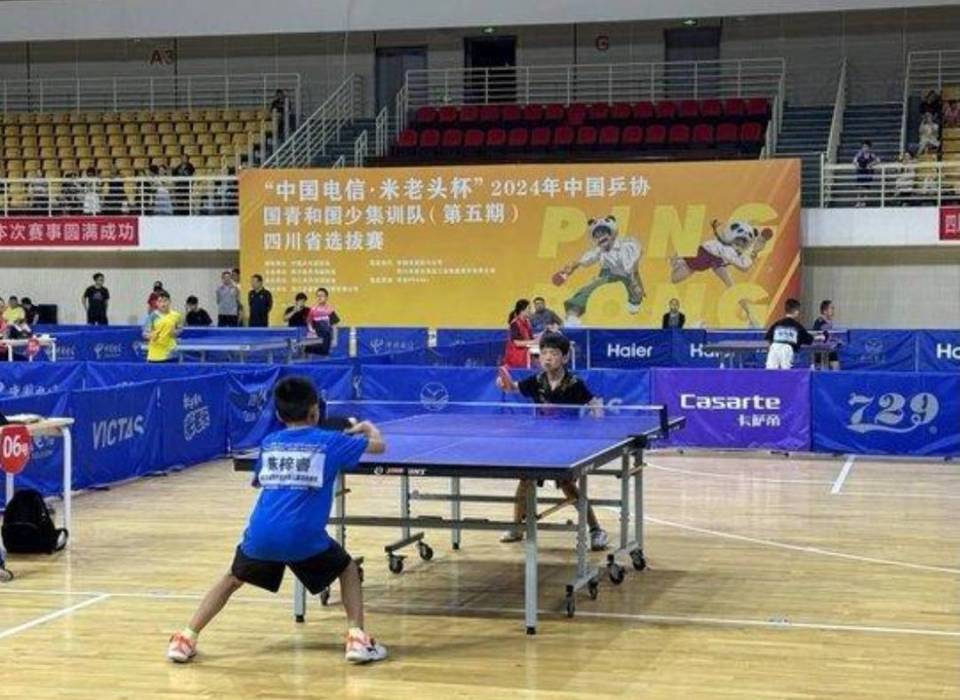 bt, 中国乒协国, 全运会上